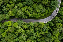 В Госдуме рассматривают проект о введении правил по строительству лесных дорог