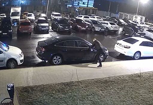 В Воронеже хулиган сломал боковое зеркало автомобиля