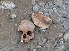 Археологи выяснили, кто был похоронен в разрушенном аланском кургане в КЧР