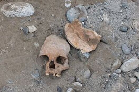 Археологи выяснили, кто был похоронен в разрушенном аланском кургане в КЧР