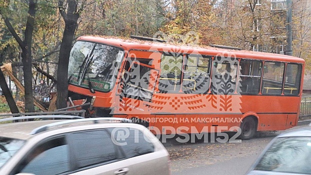 Перевозчик сообщил подробности ДТП с маршруткой и деревом в Нижнем Новгороде