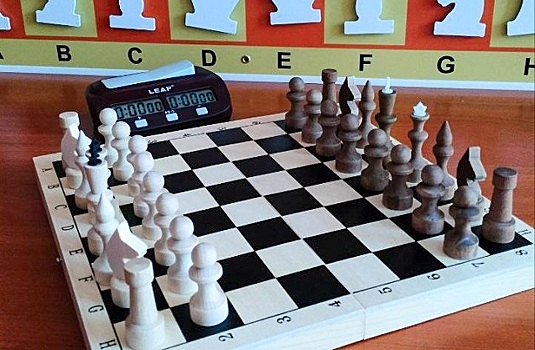 В образовательные учреждения Верхневолжья поступило более 1300 шахматных комплектов