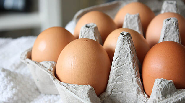 Патрушев заявил, что снятие импортной пошлины на яйца практически завершено