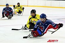 В Оренбурге проходит турнир по следж-хоккею «Кубок вызова «Вперед, на лед!»