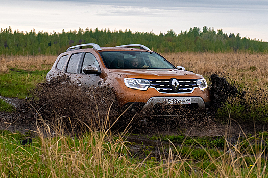 Бестселлером Украины стал Renault Duster
