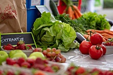 Рынок органической продукции России вырастет до 12 млрд рублей