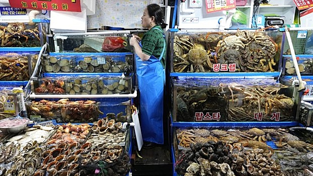 «Неужели это можно есть». Россиянка описала продукты на рынке в Южной Корее