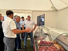 Минниханов оценил ход уборочной кампании в Кукморском районе