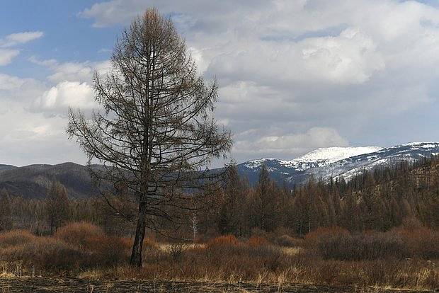 �������&nbsp; �� ��������� ������ ��������� �������� ������ ����������