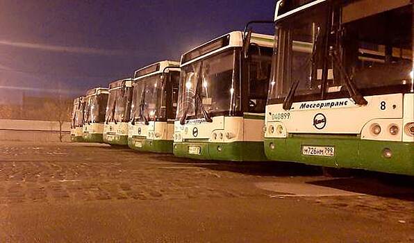  В Калининград прибыли все двадцать московских автобусов ЛиАЗ