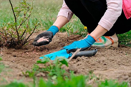 Российские производители удобрений на 100% закрыли спрос на 2023 год