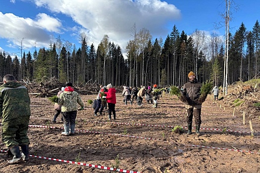 В Прикамье появилась мемориальная роща-геоглиф в память о погибших на Великой Отечественной войне