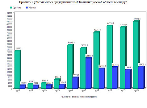 Калининградстат: прибыль малых предпринимателей области за десять лет выросла почти в 18 раз