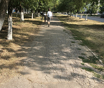 Новые тротуары и озеленение: как изменится аллея на улице Пирогова в Новокуйбышевске