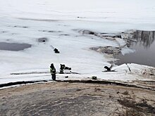 Сотрудники МЧС Московской области спасли двух овчарок, провалившихся под лед