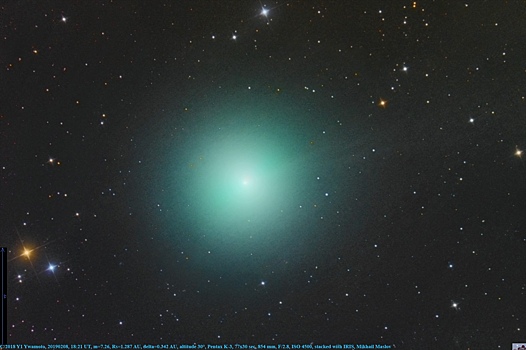 Новосибирец сфотографировал редчайшую изумрудную комету
