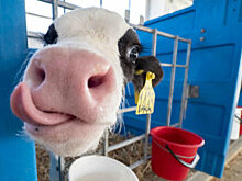 Соломон: Всегда можно найти скрытые резервы повышения эффективности