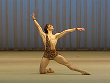 Друг опроверг версию об опьянении госпитализированного солиста Мариинки