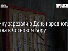 Мужчину зарезали в День народного единства в Сосновом Бору