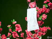 Главный психиатр Москвы сообщил о частых случаях "ковидного тумана" после коронавируса