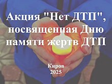 В регионе прошел Всемирный день памяти жертв ДТП