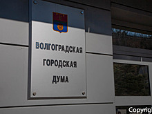 В Волгограде опубликованы предварительные итоги выборов в городскую думу