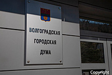 В Волгограде опубликованы предварительные итоги выборов в городскую думу