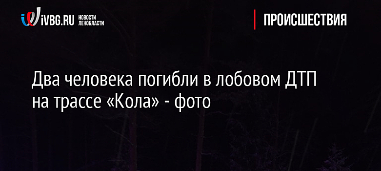 Два человека погибли в лобовом ДТП на трассе «Кола» - фото
