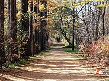 В Нижнем Тагиле на благоустройство нескольких территорий потратят 300 млн рублей