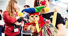 2–3 марта в Москве в «Крокусе Экспо» пройдёт международная выставка кошек «Кэтсбург»