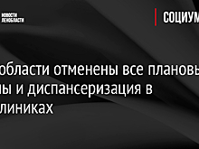 В Ленобласти отменены все плановые приемы и диспансеризация в поликлиниках