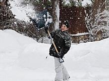 Бизнес на 10 баллов. Как саратовские предприниматели выживали в условиях снежного коллапса