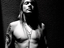 50 лет с культовыми рок-музыкантами: закулисные кадры от знаменитого фотографа Нила Престона