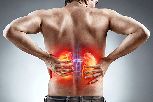 Мясников рассказал, как выявить болезни почек