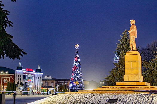 Тамбовская область представит три проекта на всероссийском конкурсе «Елки России»