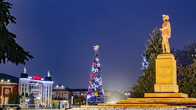 Тамбовская область представит три проекта на всероссийском конкурсе «Елки России»