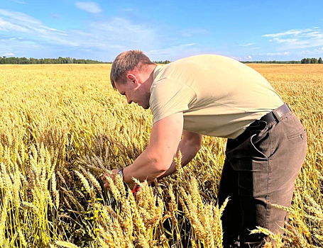 Стартап из Томска разрабатывает новое средство для улучшения урожайности