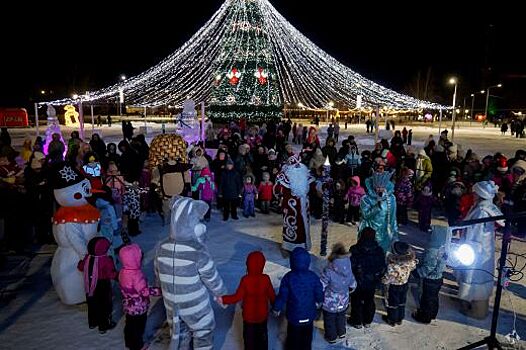 Жители Свердловской области могут поддержать пять территорий в голосовании конкурса «Ёлки России»