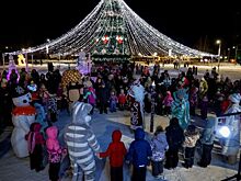 Жители Свердловской области могут поддержать пять территорий в голосовании конкурса «Ёлки России»