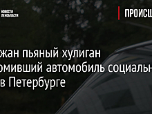 Задержан пьяный хулиган разгромивший автомобиль социального такси в Петербурге