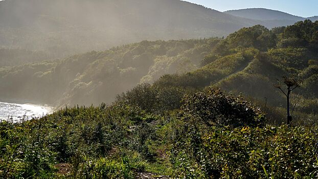 Сколько стоят туры на Камчатку и Сахалин