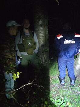 Костромские туристы встретили в лесу кабанов и не смогли выбраться