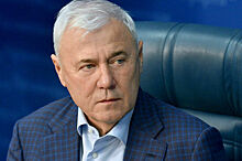 Депутат Аксаков считает любое решение об изъятии активов РФ незаконным