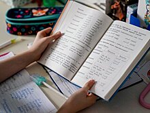 Лингвист Левонтина: слова "имба" и "тюбик" не задержатся в русском языке