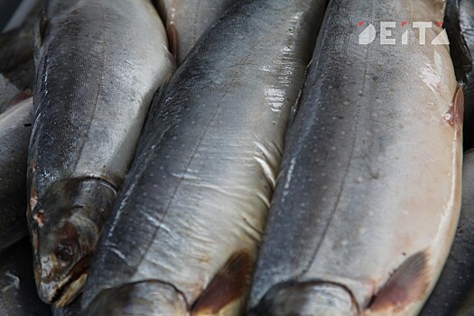 Российская рыба стала доступной в Сингапуре и Испании