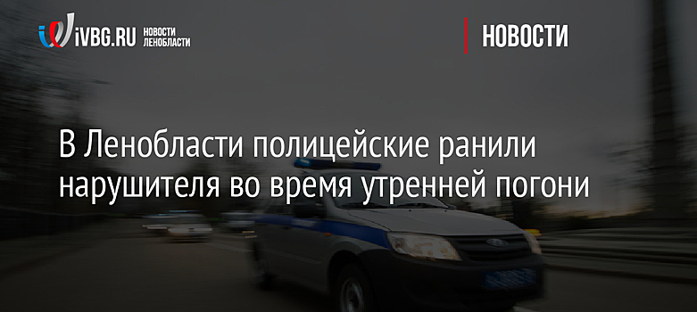 В Ленобласти полицейские ранили нарушителя во время утренней погони