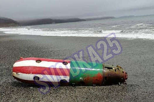 В Приморье во время шторма на пляж вынесло авиационную мину