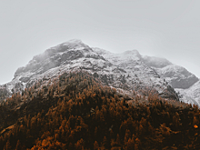 Biogena выступила на конференции в Rosa Springs