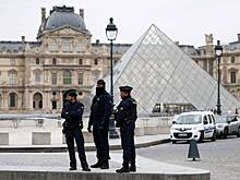 Ограбление Лувра связали с жадностью французов