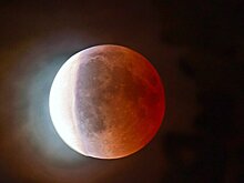 Астроном Кошман: москвичи увидят покрасневшую из-за затмения Луну 7 сентября